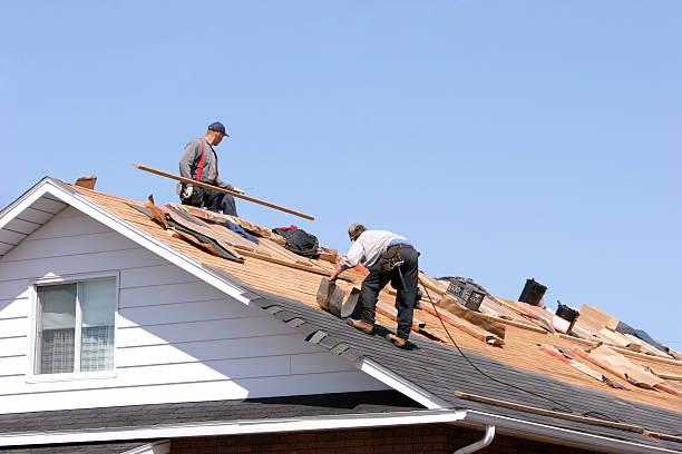 Best Roof Maintenance and Cleaning  in Lake Station, IN